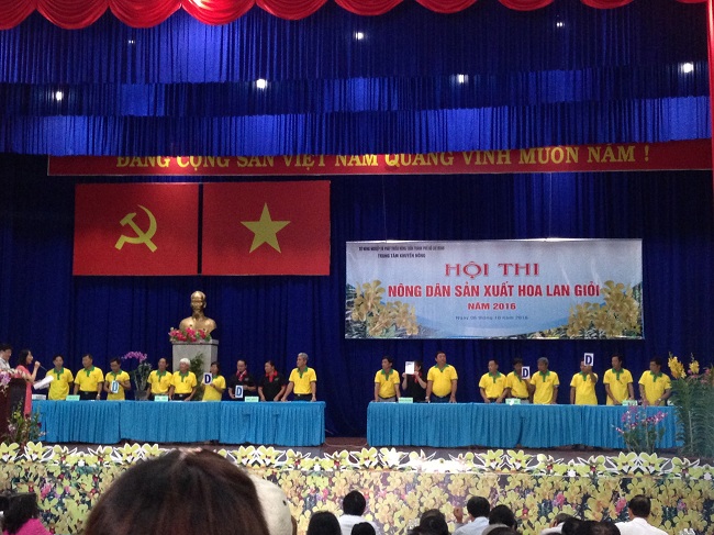 Các đội thi kiến thức