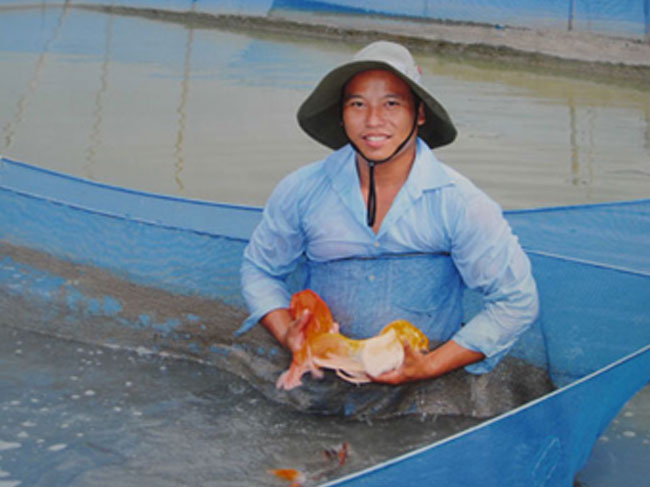 Trang trại cá cảnh Xuân Cường – Một trong những mô hình sản xuất nông nghiệp hiệu quả của Thành phố Hồ chí Minh