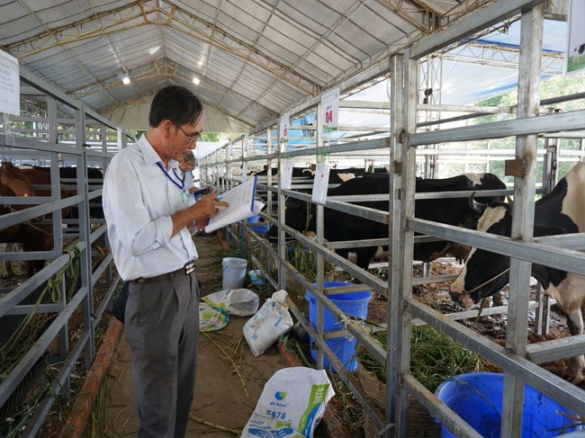 Hội thi Bò sữa, Hội chợ - Triển lãm Chăn nuôi Thành phố Hồ Chí Minh, năm 2018