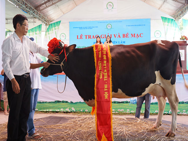 (Ảnh: Đồng chí Nguyễn Phước Trung – Giám đốc Sở Nông nghiệp và Phát triển nông thôn, trao giải nhất “Hoa hậu Bò sữa” năm 2015)