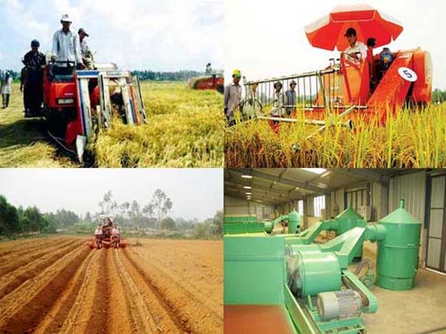Chương trình Nâng cao năng lực quản lý cho doanh nghiệp nông nghiệp