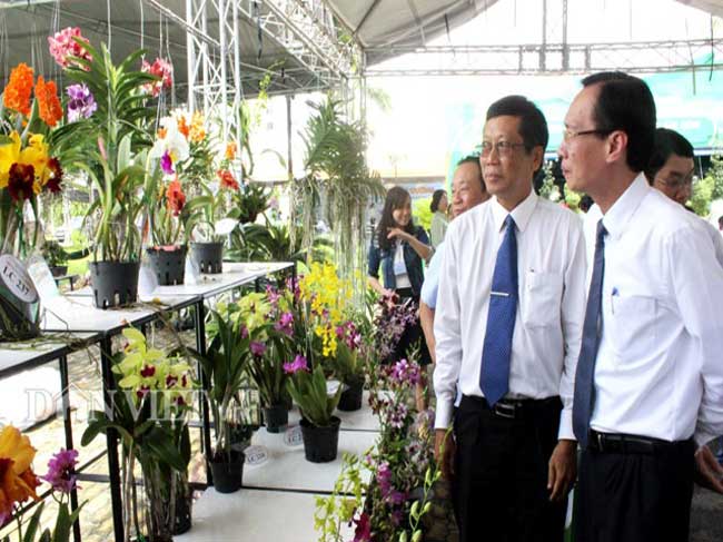 Tiềm năng sản xuất và xu hướng thị trường hoa lan tại Tp.HCM